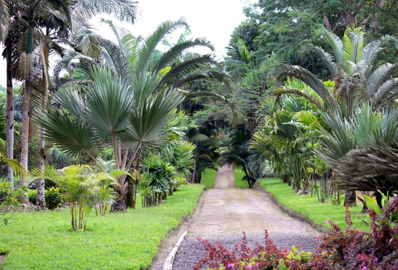 Bnb Tropical Island Aparthotel - Corales Del Sur - Santo Domingo Este المظهر الخارجي الصورة